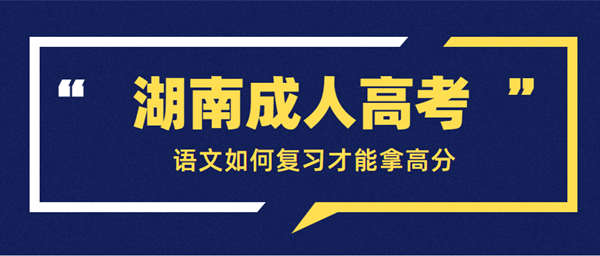 湖南成人高考语文如何复习才能拿高分