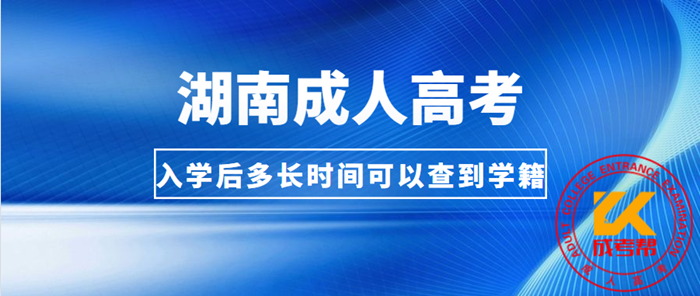 湖南成人高考入学后多长时间可以查到学籍